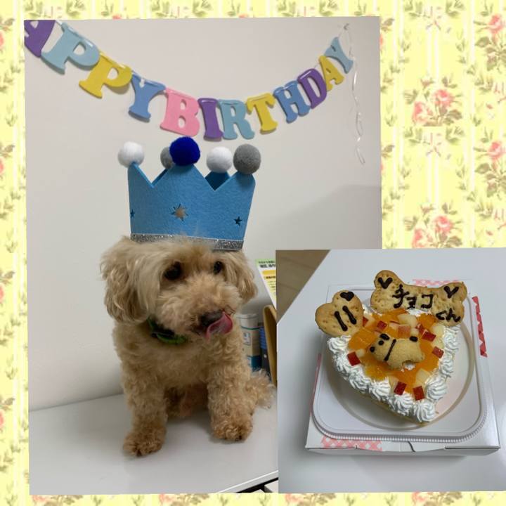 54a92f3c a7d9 4fbd 80b0 12e1d348714f 1595587022511