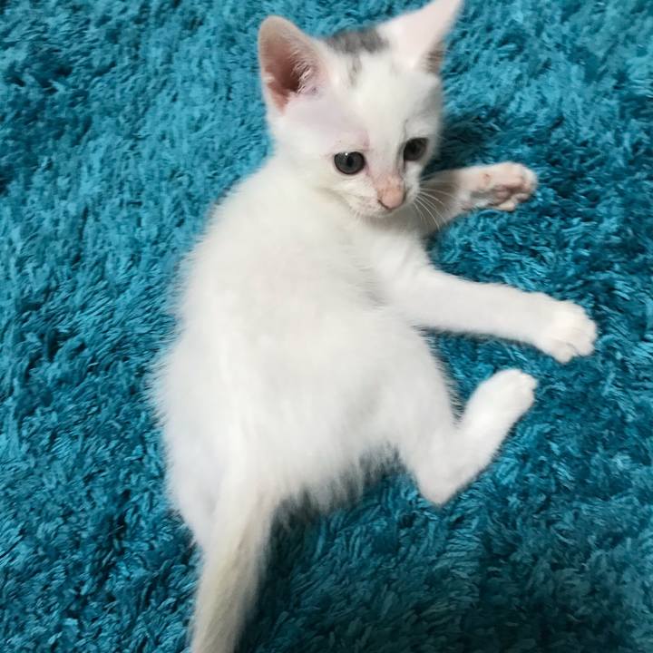 54a95fee 13ae 47ae a61b 24489c9002d9 1592749838661