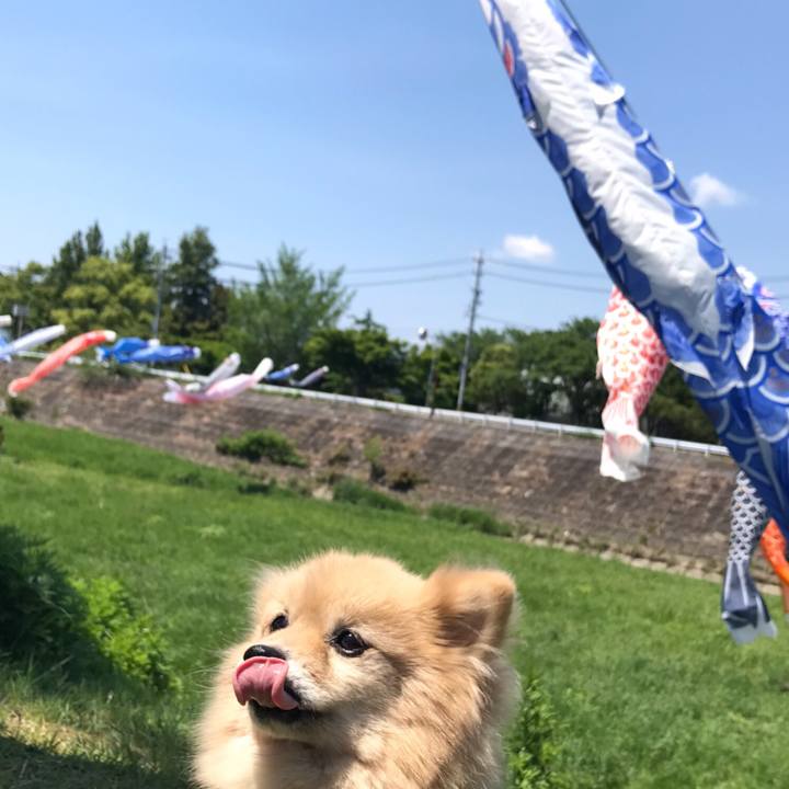 54a964bf ad80 473d 946d add54ca68a1b 1651890154811