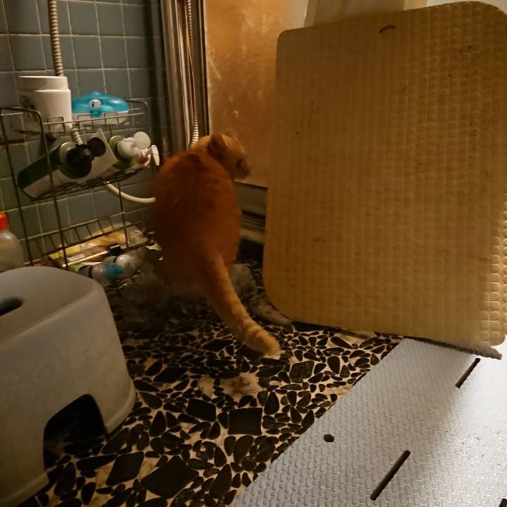 54a974c9 85f3 469d 80a4 34febc629d33 1583231762957