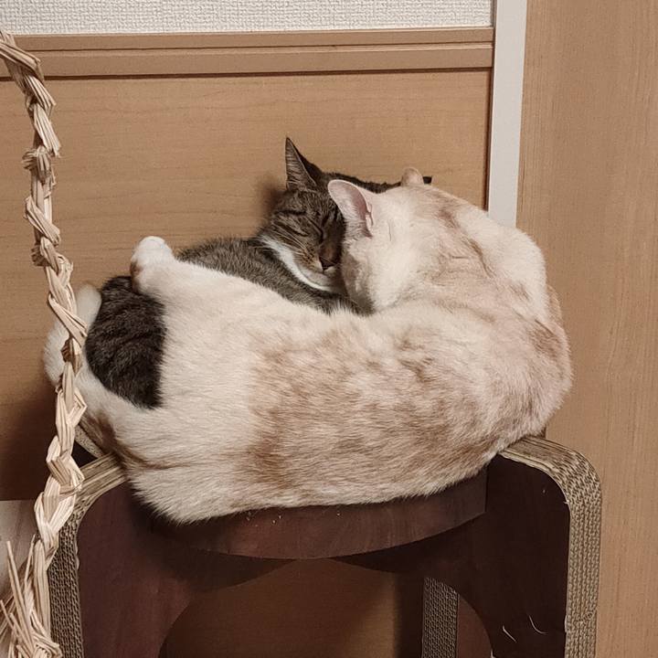 54a99e2d a6e2 4808 8f42 567f60b618f3 1664448399747