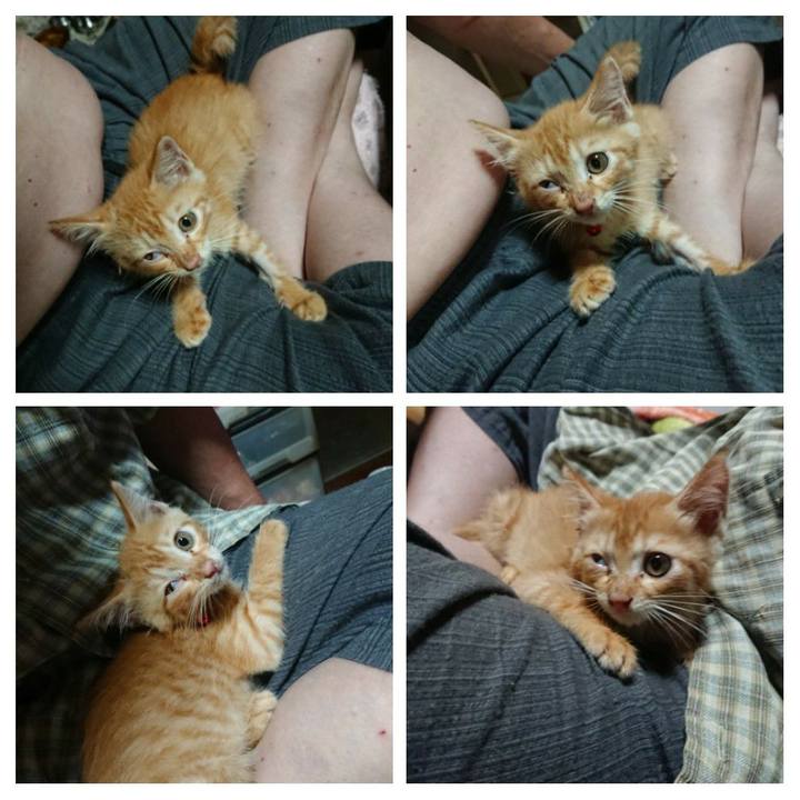 54a9a7a5 fd21 4ddc 8a8d 8b2fb1ca1a68 1627990736826