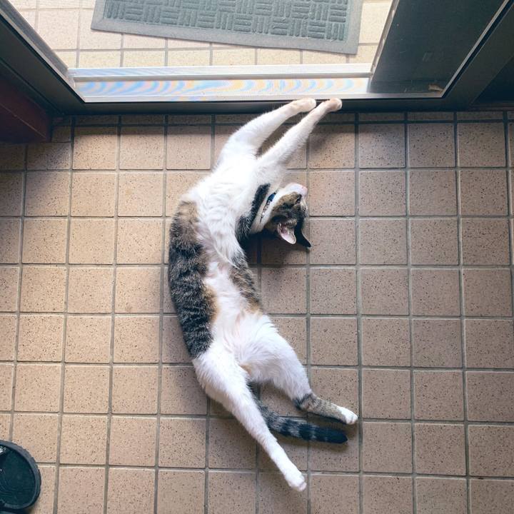 54a9c48b 5bb7 4792 ac6c deffbb3f68f1 1565677133054