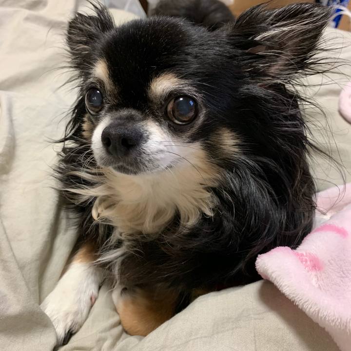 54aa1039 06a6 413c af0f 8988debc114f 1562753761324