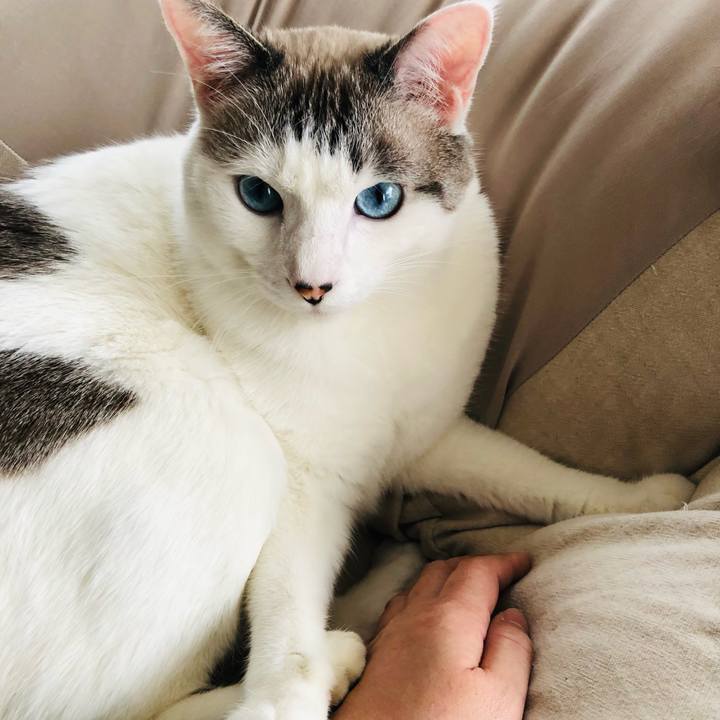 54aa269f 7b8f 4bfe b05f 5b733f38fc3f 1636856492518