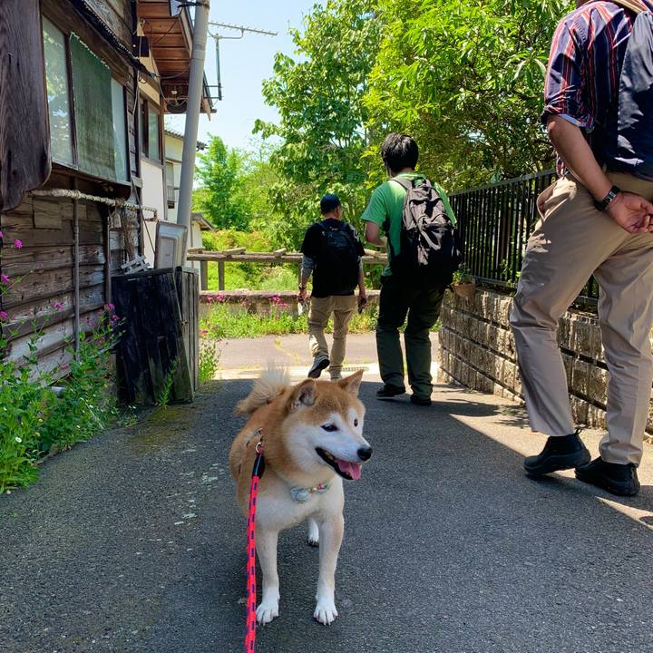 54aa2840 7057 4d28 884e 06bf5d5d8ead 1653813716364