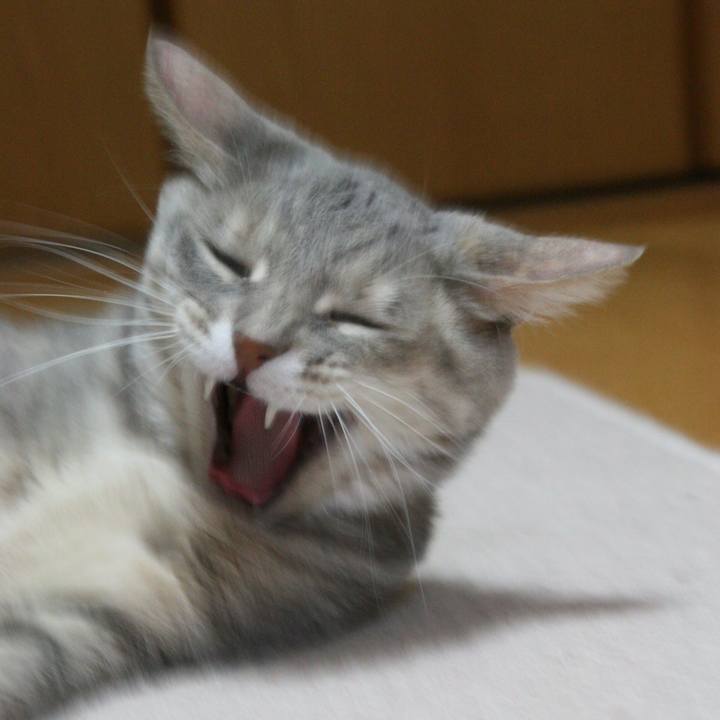 54aa29e1 d552 401e 9c5e 1fff98f9fc13 1523104708810