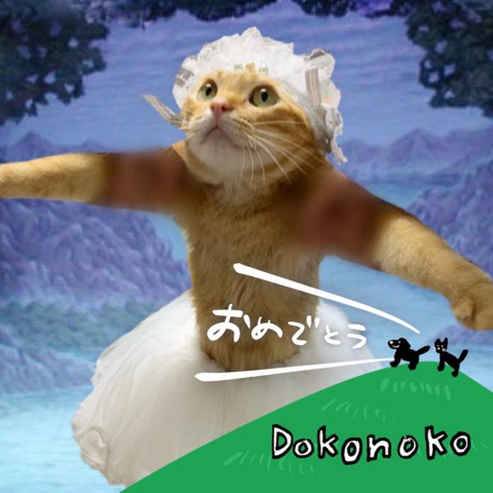 54aa368a 1e3d 45dc 8370 864e6f59779e 1685954291884