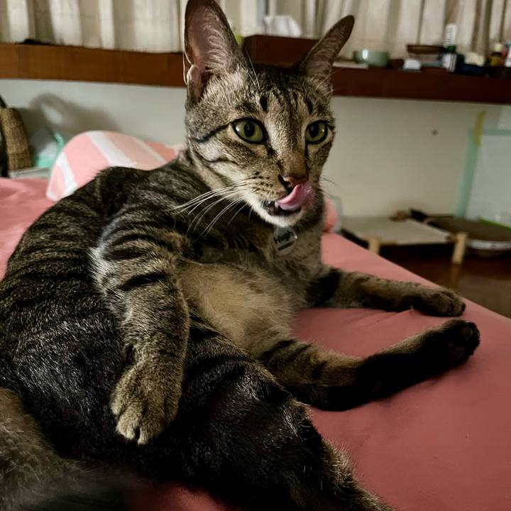 54aa3a39 5197 4bd2 9bd7 9fb2d5db2e7a 1768219837389