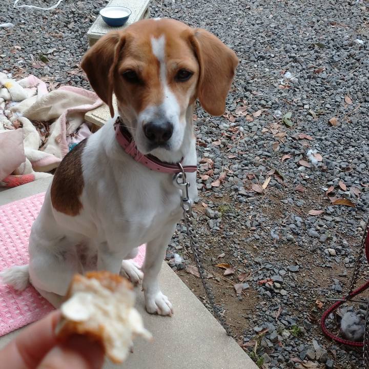 54aa5719 e72b 45c2 9d15 7bded30d6148 1579225690067