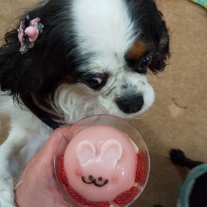 54aaa4bc d924 45ec 950e b7074ecb1645 1555329835360