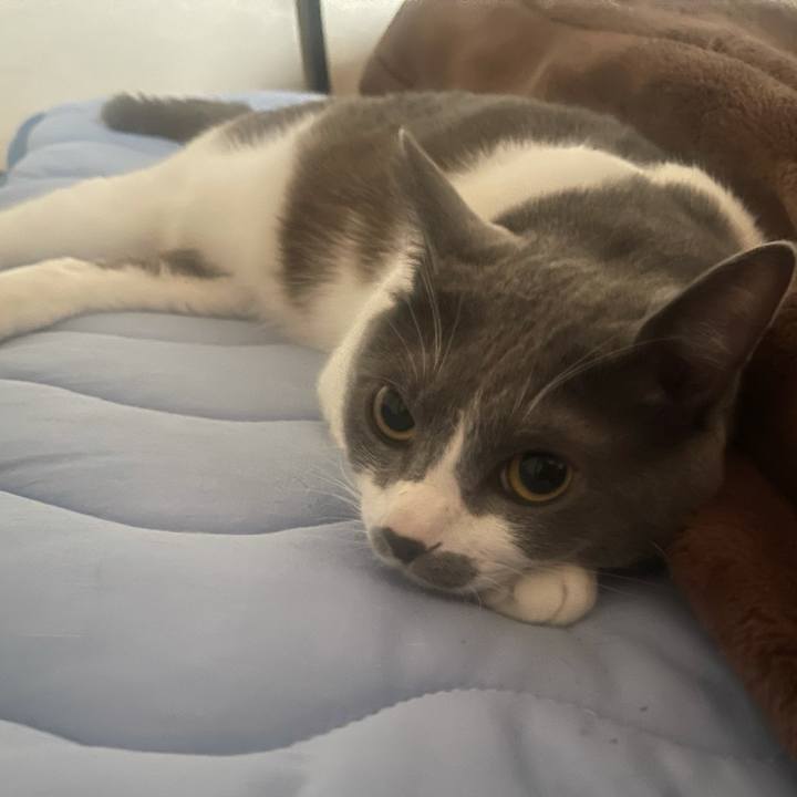 54aad9a2 d31f 4cab 962a b50648f6ccca 1627592032402