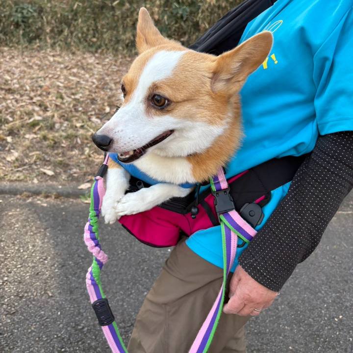 54aae337 f0a7 4efd 8b40 484bde3833b1 1771844488471