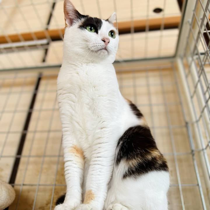 54aafdbe ac88 415d ae4e d111acad8e36 1685496271248