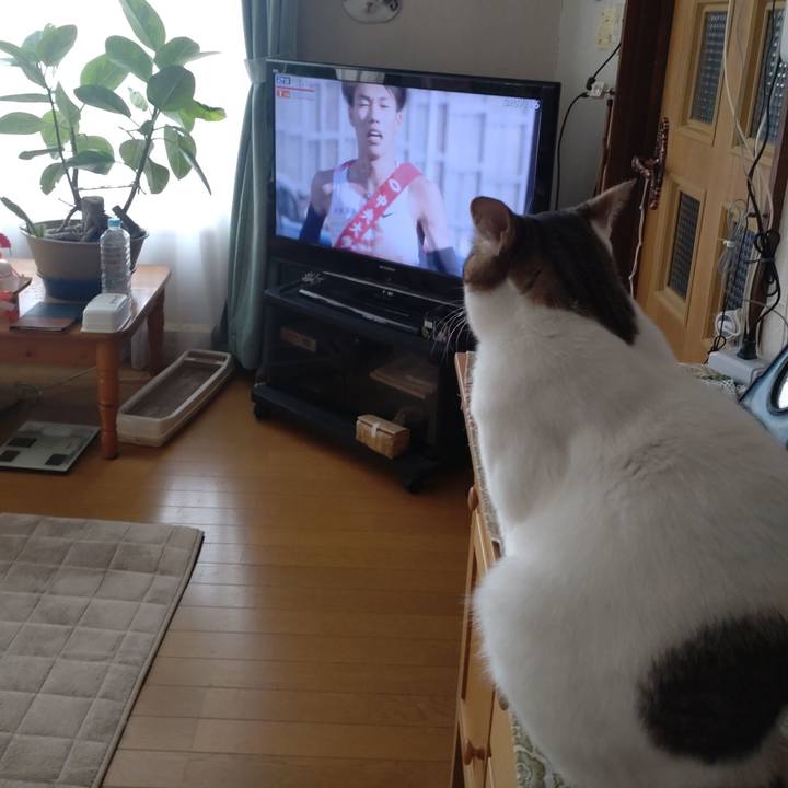 54ab61f0 02c5 405a 9e2d 045bf8f514e3 1735781390418