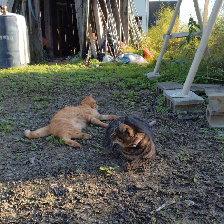 54ab6c39 9954 43e8 b9fd d29e7021b233 1664434768164