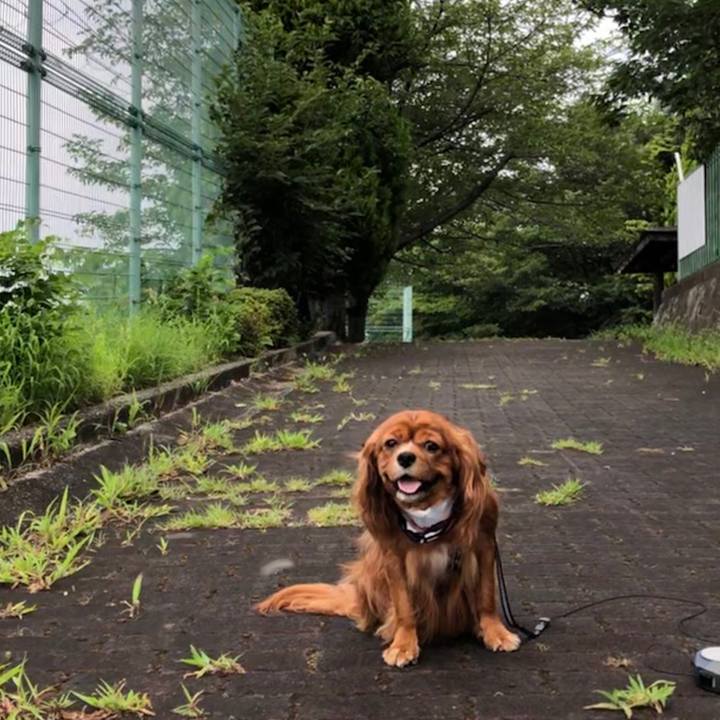 54ab70f1 9117 4ed9 9fbb 826ddd11a987 1596926972121