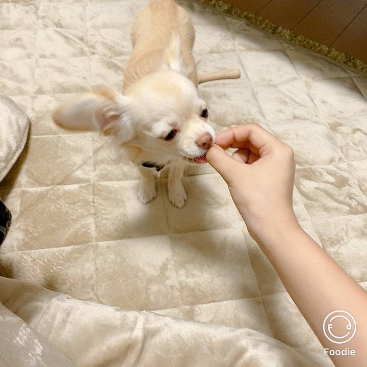 54abb050 cf0b 4782 a877 821ab5dfca98 1604563670524