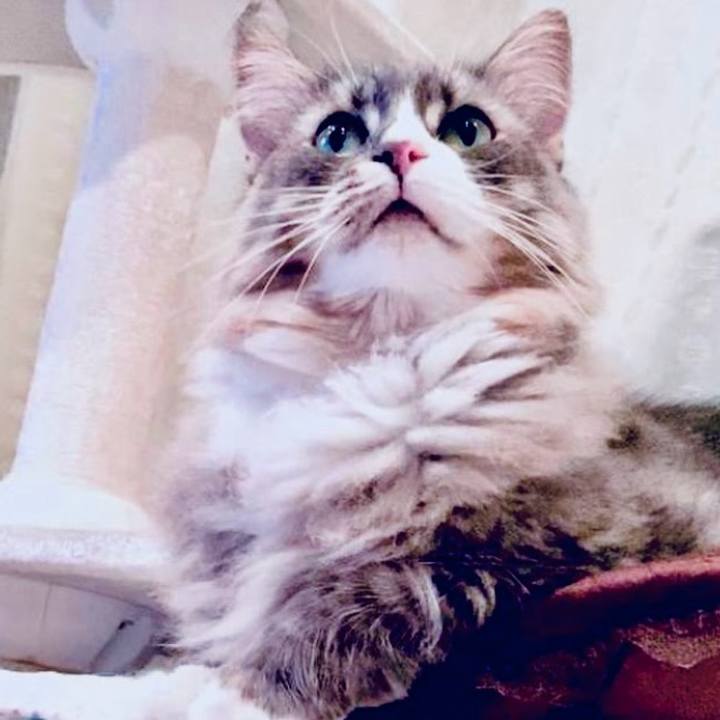 54abf132 bc50 4b58 bd86 fc8dfacdcdcc 1759245597854