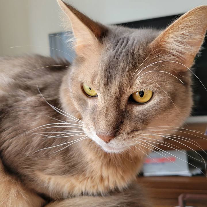 54ac0a17 2421 4eea 9808 9c346b16dbdd 1644036400978