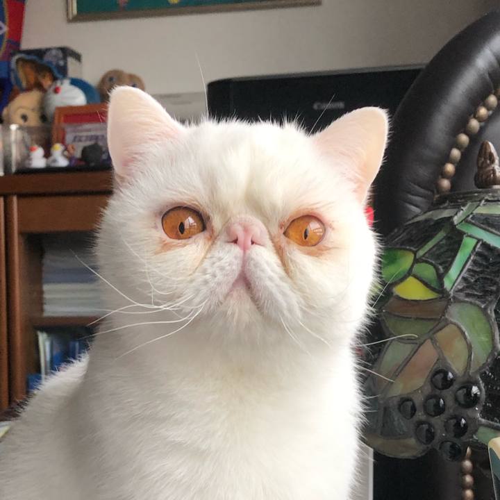 54ac4bbf 4e98 4f33 9834 e6fe57b32572 1616246857914