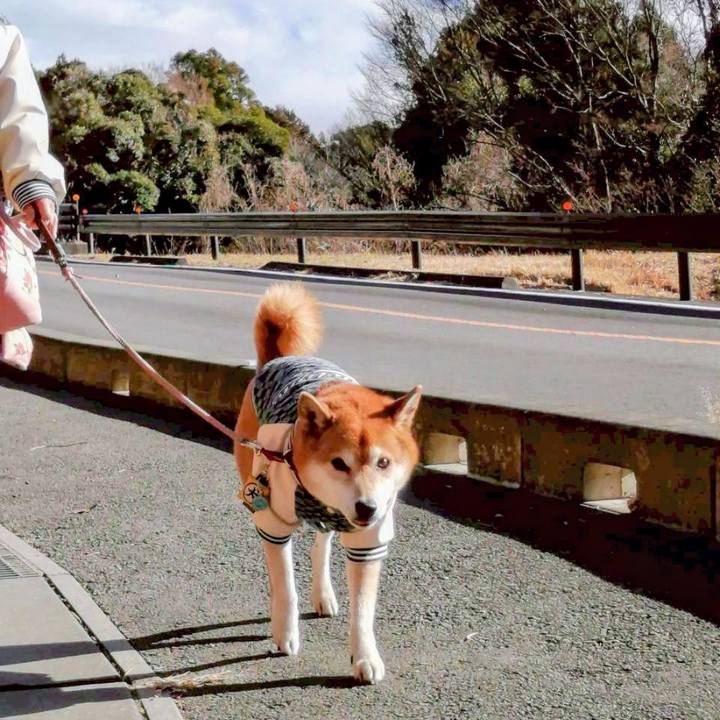 54ac54d2 1ca5 4e06 a30a e6faaac4b534 1769069088603