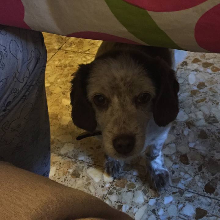 54ac7a3d ed00 41b2 b611 9799d4c1ea21 1512290906979