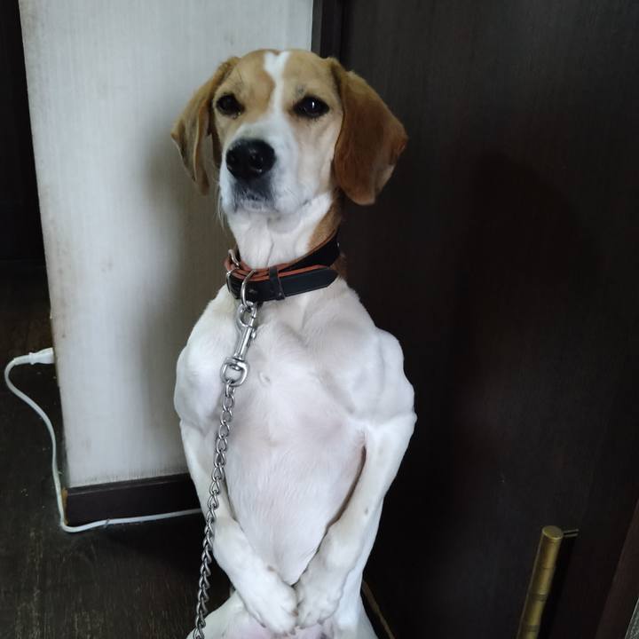 54ac95a2 7d2b 4e60 8115 63354334f080 1645277701001