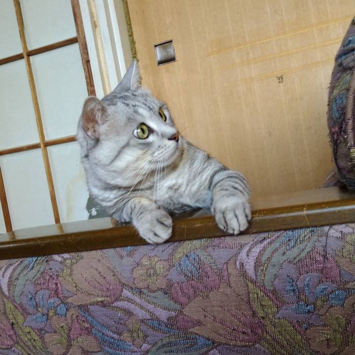 54aca2ed 66a0 41d3 82a5 b9a5e438e143 1634092724586