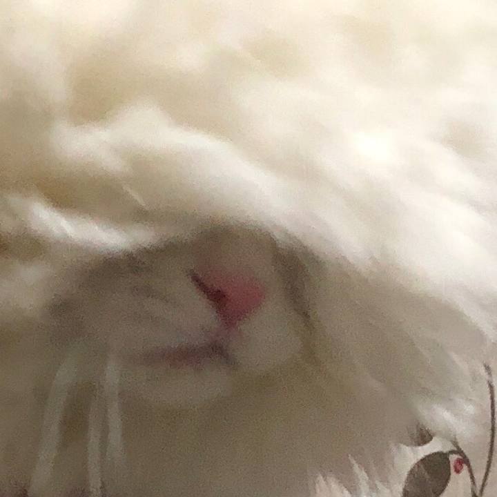 54acb495 7142 487b 8632 c6a11af357a2 1544356363759