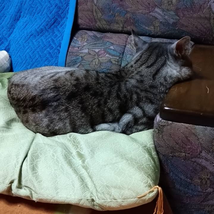 54acc0f4 07dc 456d 95a0 80bb1203ab6f 1639751348839