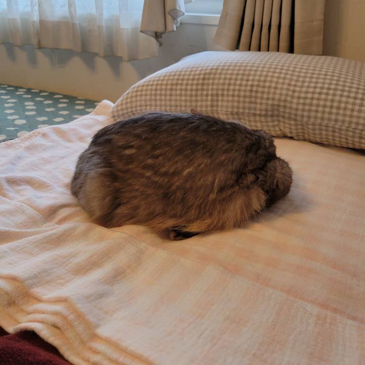 54acce66 0151 491d 9363 988b1965be8a 1631229422861