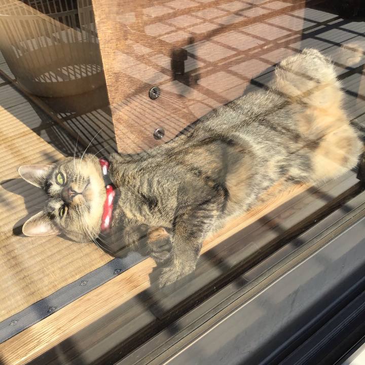 54ad0035 19e6 4cdd 86e0 09937ec86a19 1605495271218