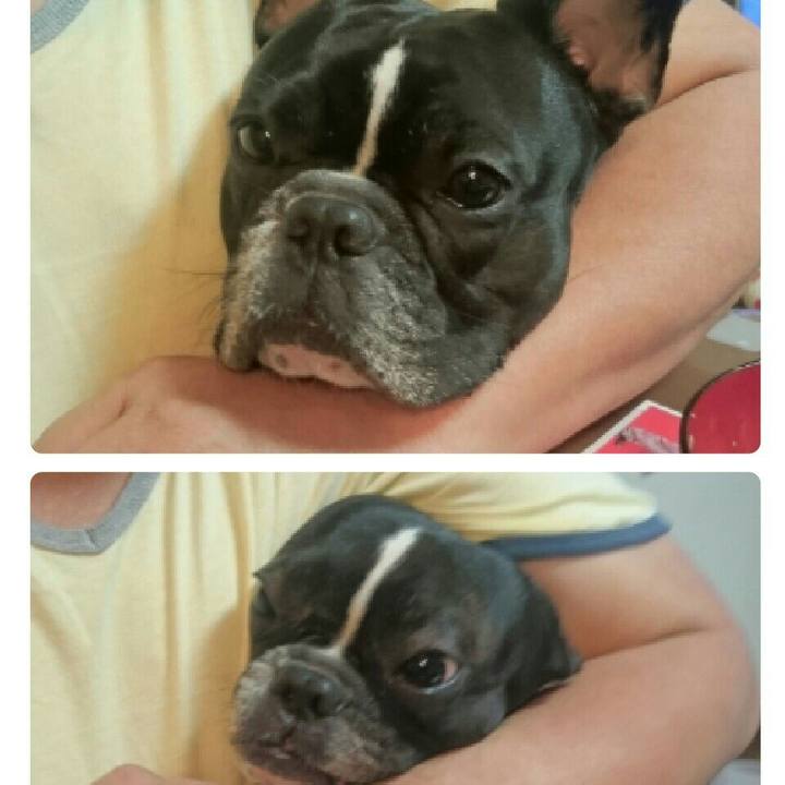 54ad438f 9af8 48c4 877e 6412829564c9 1514300283984