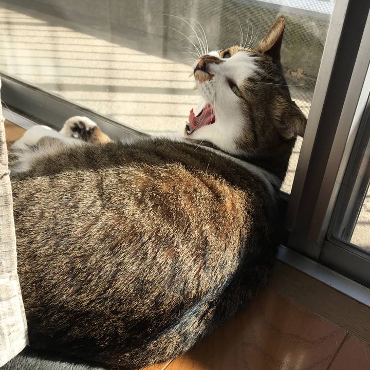 54ad9ef7 97fe 4c68 8dfa 3dde33d217dd 1512996437974