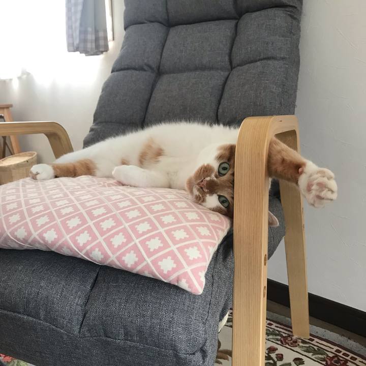 54ada226 77fe 4f4f be3a 5a966bb0a0a7 1629684000148