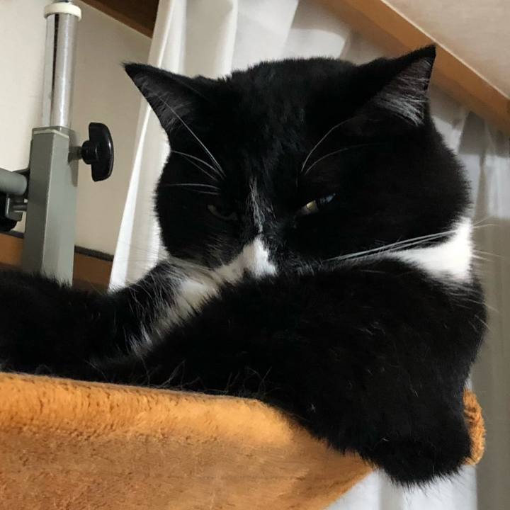 54adaca5 cb5a 4deb 9534 c4c4d3a1be81 1648697354577