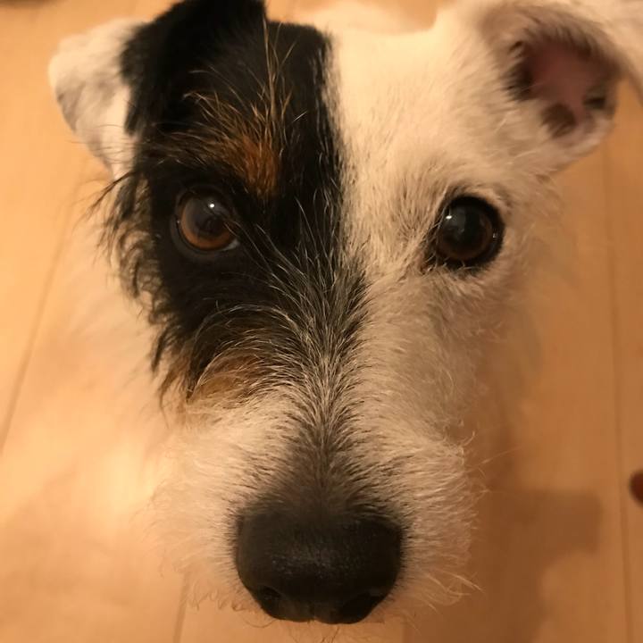 54adae78 b029 45bc 9357 0d4aca943a10 1526387381495