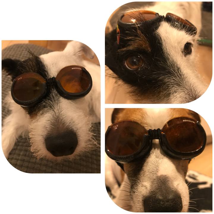 54adb3bf 1b00 4085 8bc6 107b552f0842 1532436232215