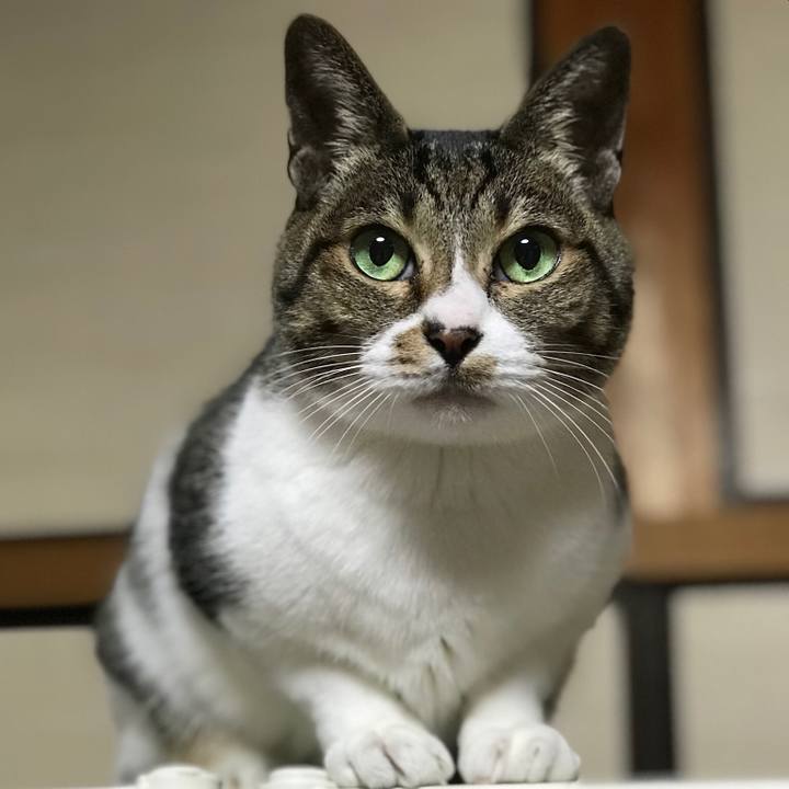 54ade33c 2e17 4b6f 9657 d217081b9271 1515634417038