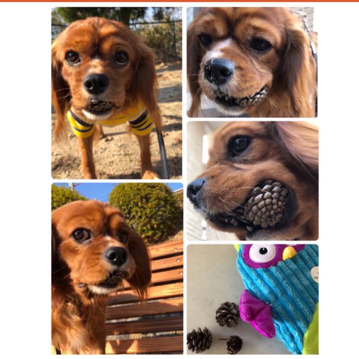 54ae275a 08b1 434d aa32 4d10eeca223b 1546666438221