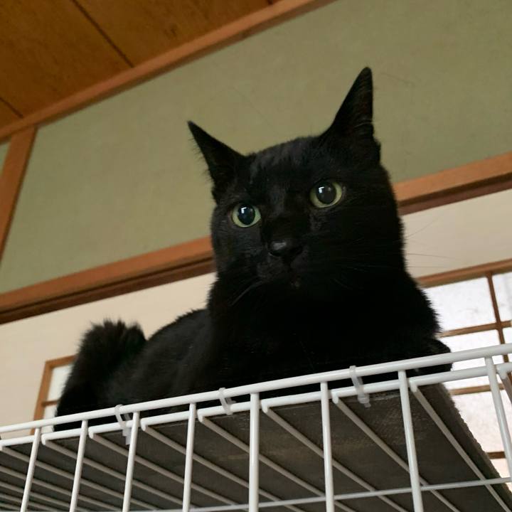 54ae3e2f 5587 43cc 8dc9 ea0c0198858d 1593479332972