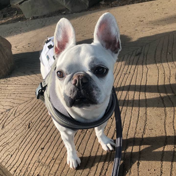 54ae7760 fcab 422f 803c 69a7c73461e8 1652849294162