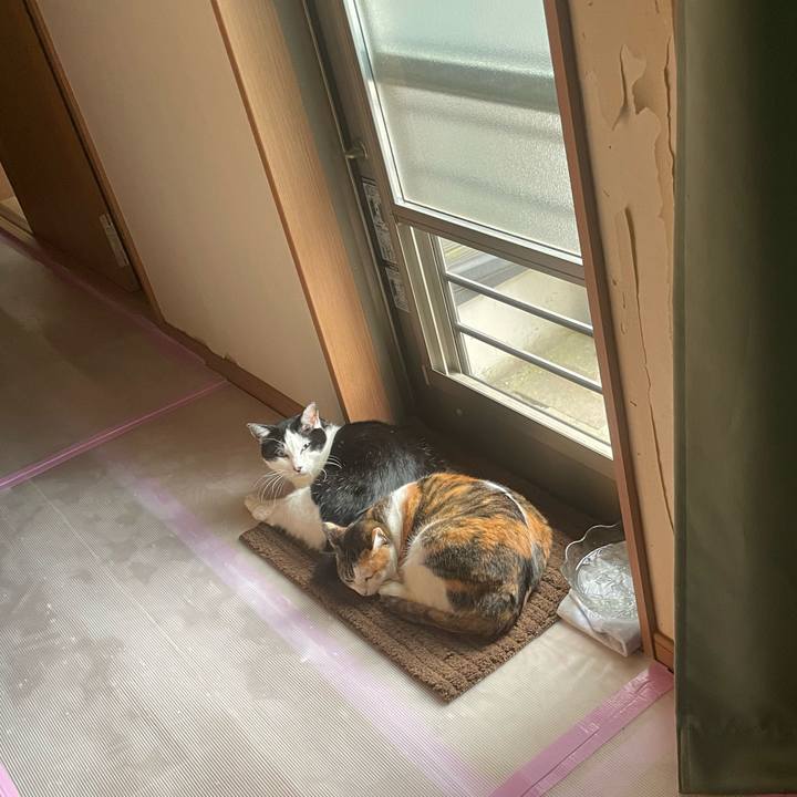 54ae842d 721d 4848 a6d8 32e0cc756b27 1716125249779