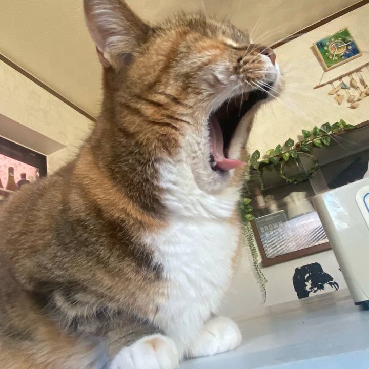 54aec61a 6827 4e97 ae20 805ea6eac8e6 1679211579351