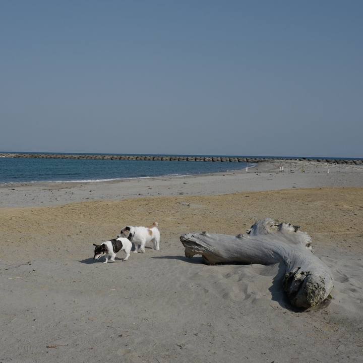 54af6aab 5580 465b b9d1 1b5d75e8b91c 1557457816619