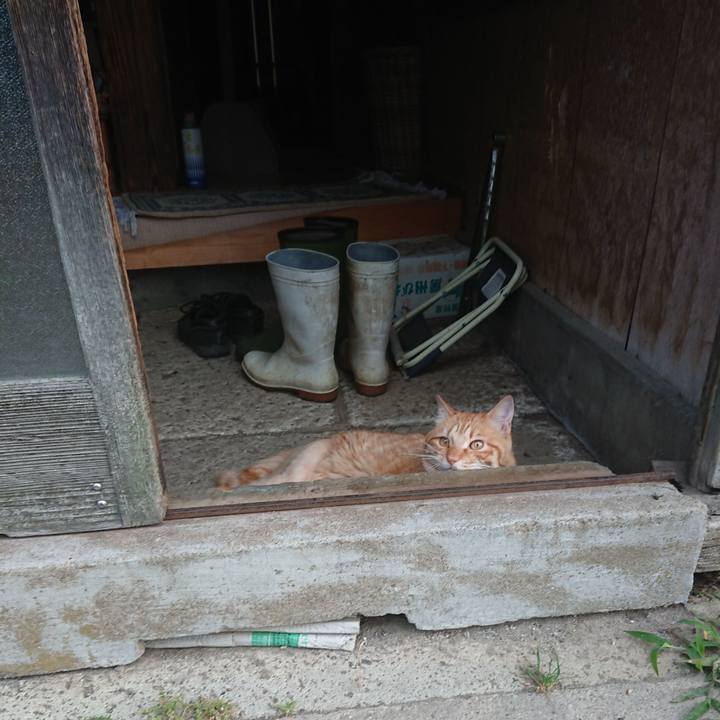 54af8417 629f 43ed a27a b00ca7bfee6e 1655672289521