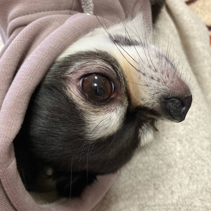 54af88d6 4fbb 4243 b1a0 db649bbe5134 1676776960118