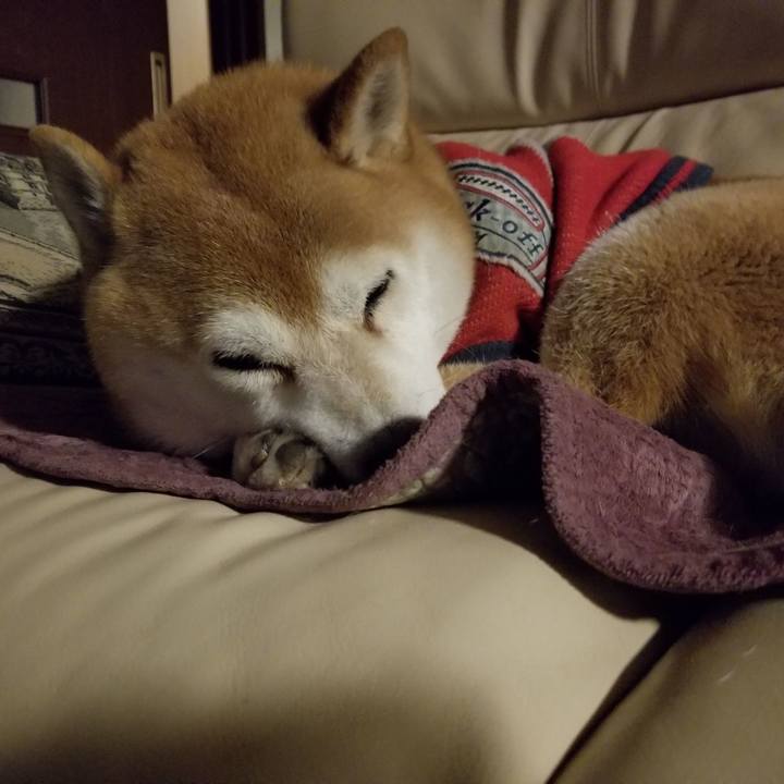 54afb398 0186 4588 86d9 0564958675fb 1607204554284