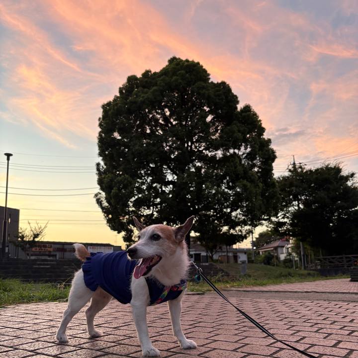 54afedd7 5c19 42b3 89e4 29b3d7c57e15 1753745433823